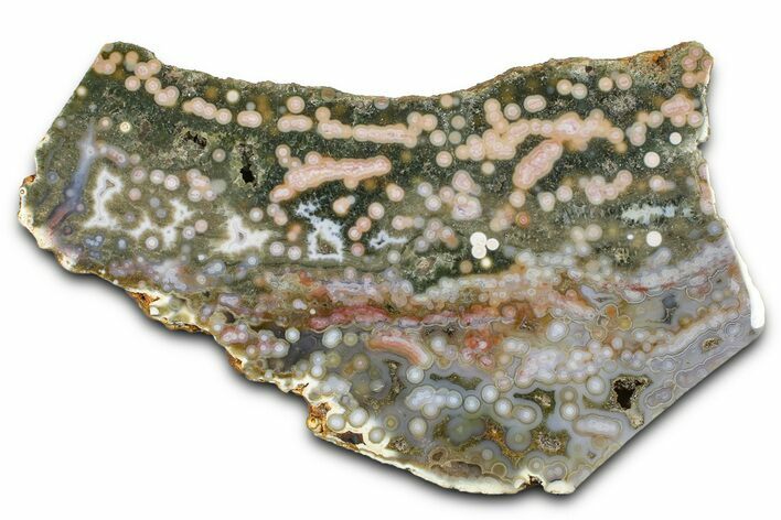 Polished Orbicular Ocean Jasper Slab - Madagascar #382017